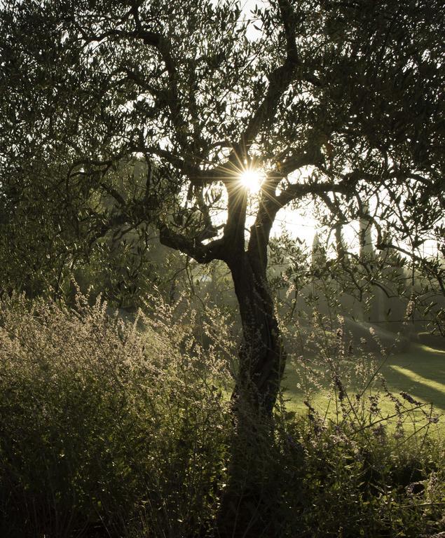 פיינצה Tenuta Santo Pietro מראה חיצוני תמונה
